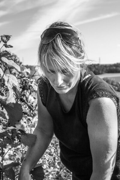 Champagne Domaine Lagille